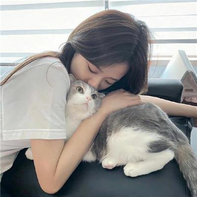 俏房东与妙房客