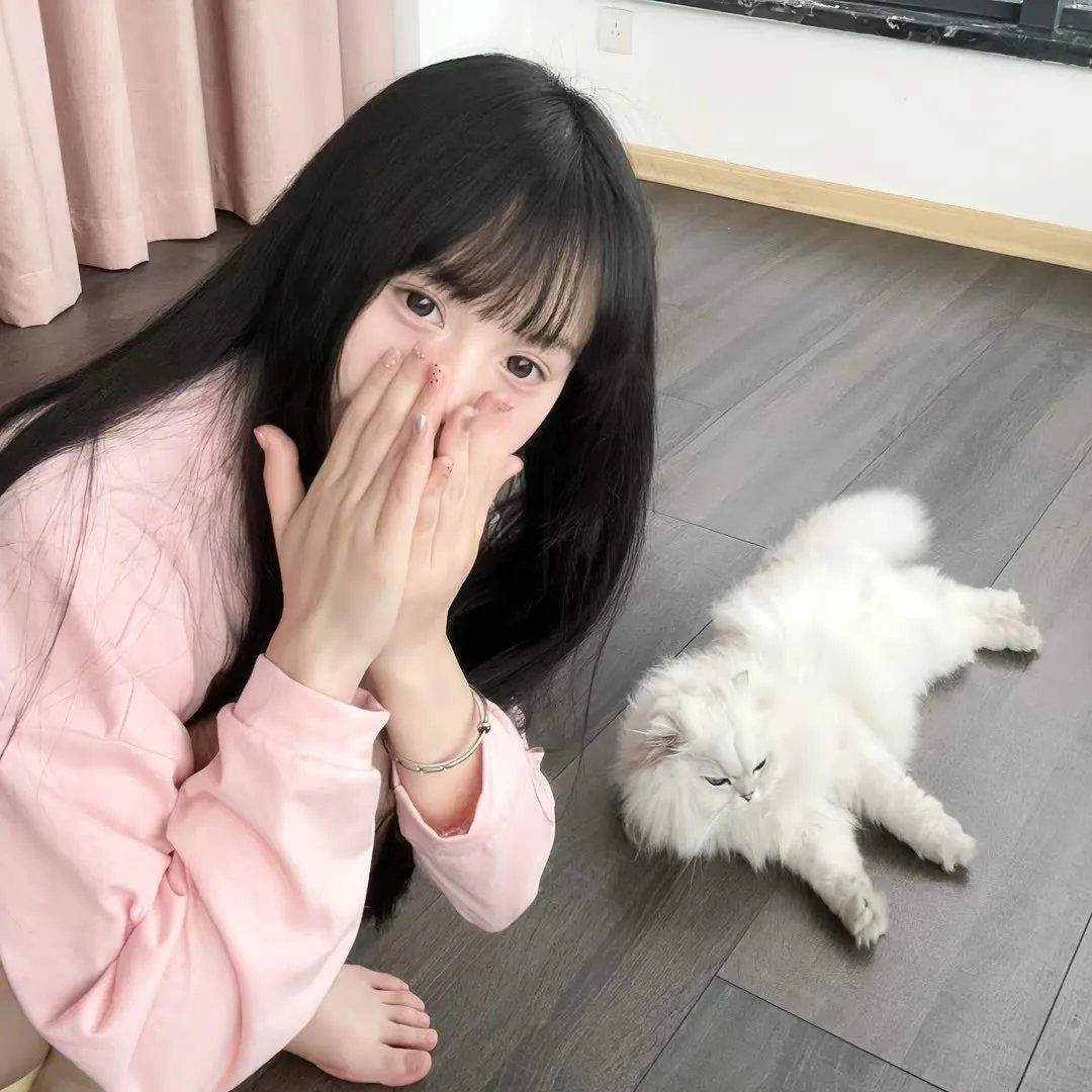 公猫