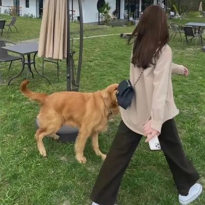 青春死党